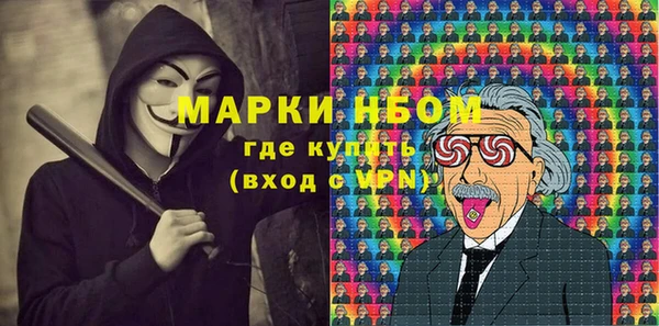 индика Белоозёрский