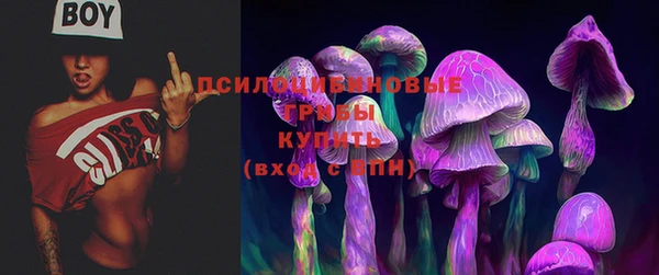 кристаллы Белокуриха