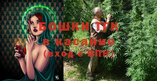 индика Белоозёрский