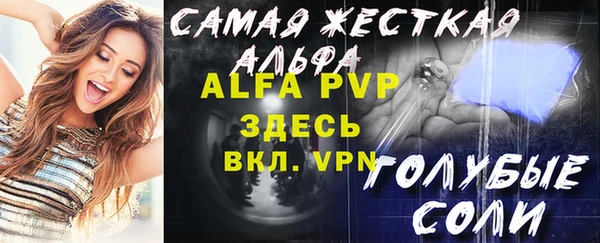 индика Белоозёрский