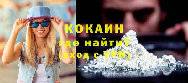 индика Белоозёрский