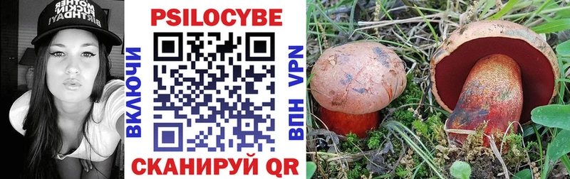 наркота Острогожск Псилоцибиновые грибы Magic Shrooms